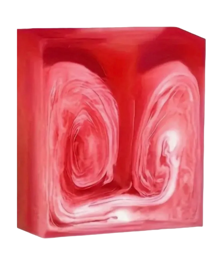 𝒴ℴ𝓃𝒾 𝒷𝒶𝓇